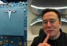Elon Musk Chip Factories Austin Tesla SpaceX Semiconductor Plan