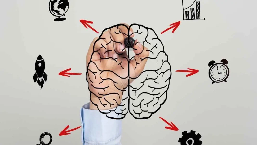 Harnessing The Power Of The Mindset